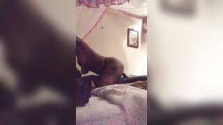 Sexy ebony milf plays and enjoys her toy boy BBC pt 1