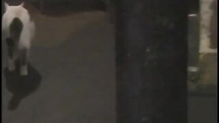 Lusty asian dom uses electricity and whips on sub white bitch