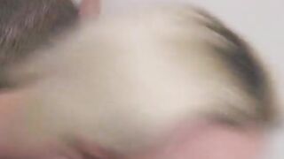 Blowjob Compilation Volume 27 - Cumshots