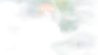 one piece hentai