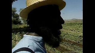 homey-in-the-haystack