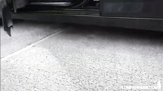 Slutty BBW MILF Sienna Hills Cruises Hood for some Cock