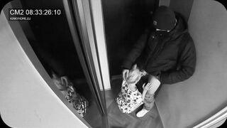 Wife sucked the postman while husband in the next door