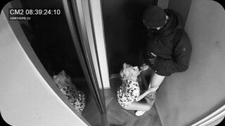 Wife sucked the postman while husband in the next door