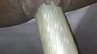 XVideos