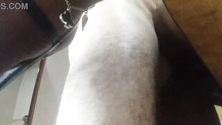 Black Hotwife bitch getting fucked by her White Bull Macho