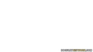 Ebony Boss Luna Corazon Has Lesbian Sex With Shona River