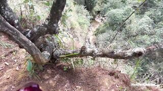 Risky sex in nature