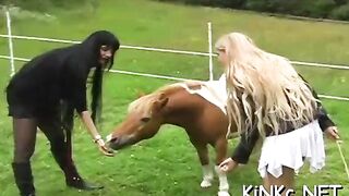 Nasty domina ties up her serf and gives him a handjob
