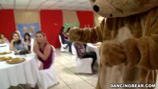 It's time to celebrate and party with the infamous Dancing Bear! (db9822)