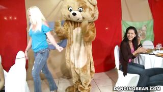 It's time to celebrate and party with the infamous Dancing Bear! (db9822)