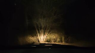 Sex with mother's friend in a car