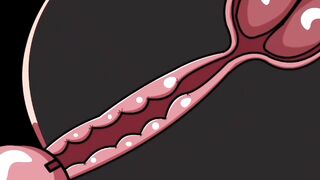 Internal ejaculation #4 (animation)