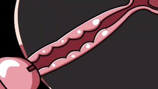 Internal ejaculation #4 (animation)