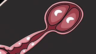 Internal ejaculation #4 (animation)
