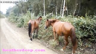 HD Heather Deep 4 wheeling on scary fast quad and Peeing next to horses in the