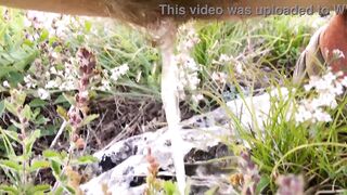 Pee outdoors, risky toilet in the forest