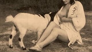 Vintage Taboo, Pussy & Pooch