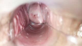 vaginal orgasm