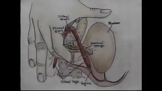 Sex Education Orgasm Training Video