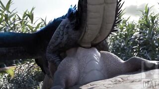 Dragons fuck in the hole