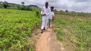 WHERE WE DEY GO, WE NO KNOW.