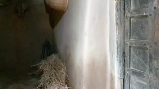 Indian Bhabhi cheating husband long