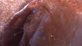 Real wet hairy teen pussy