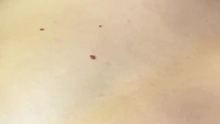 Hot Busty Masseuse Ambar Prada Is Pregnant and Gives Me a Happy Ending - Brian Evansx