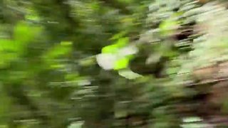 Threesome on the beach - he pulled her bikini to the side and inserted his very pleasurable penis into her.