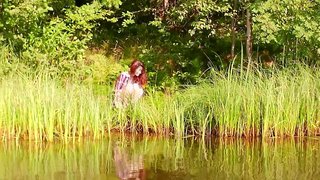 Red-haired beauty on the lake