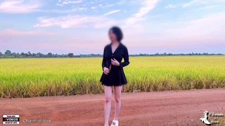 Beautiful rice fields.