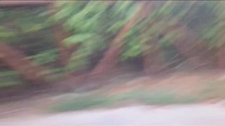 Risky masturbation in public in the park with a hard-on for a stranger!