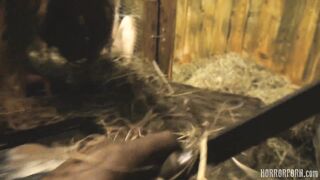 HORRORPORN - Rabbit hutch