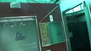 Korean F in toilet