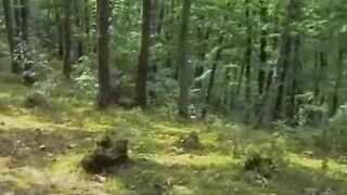 Private Classics, DP in the forest