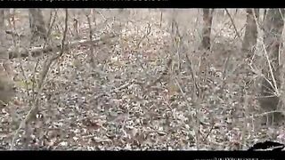 Liz Vicious - VOYEUR IN THE PARK
