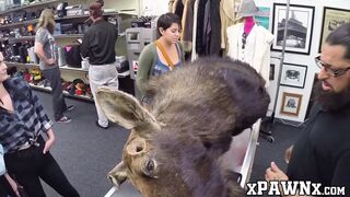 Cuties earn some money by sharing a cock in the pawnshop
