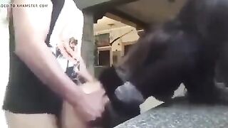 MI NOVIA POR EL CULO Y ME LA CHUPA