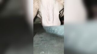 Ballbusting from Behind