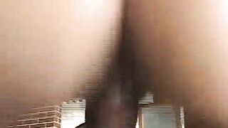 Latina Lena Interracial Anal
